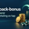 Cashback-bonus: Slik fungerer tilbakebetaling av tap