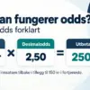 Hvordan fungerer odds? Desimalodds forklart for nybegynnere