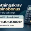 Omsetningskrav på casinobonus: slik regner du ut bonuskravet